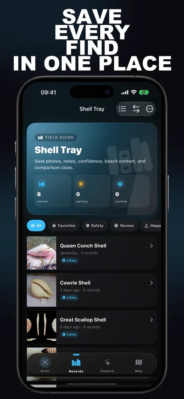 Shellr AI: Seashell ID screenshot 2: seashell identification