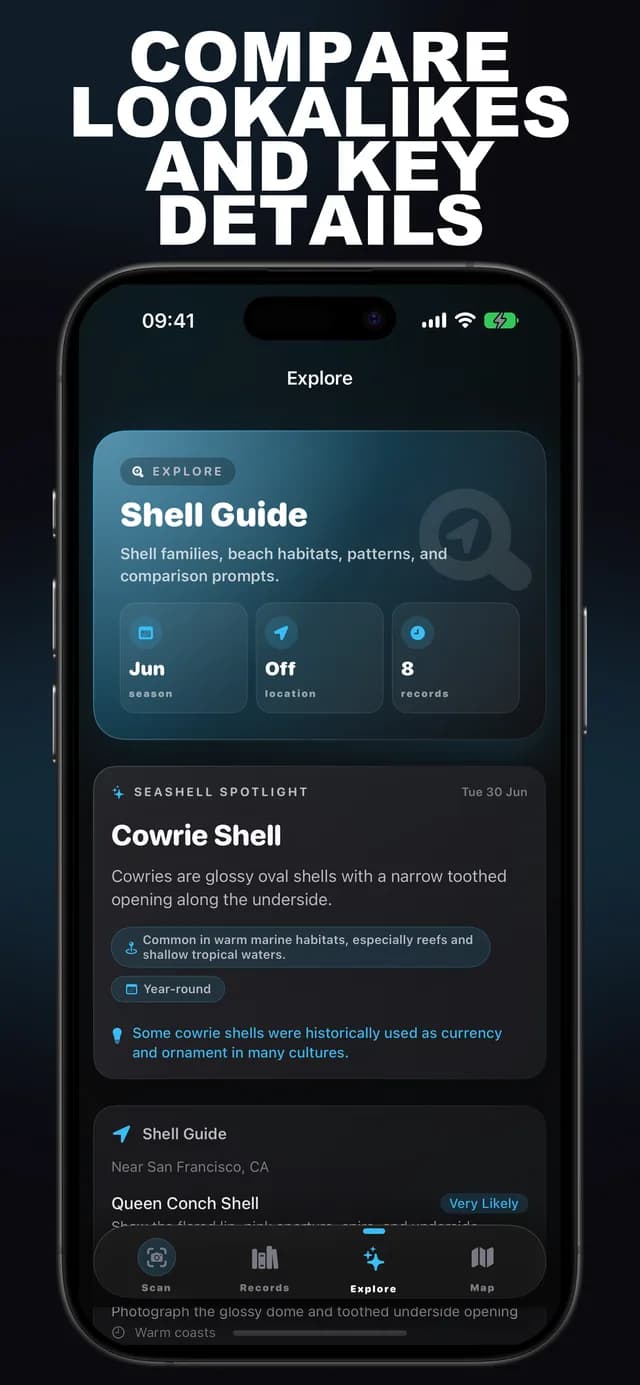 Shellr AI: Seashell ID screenshot 3: seashell identification