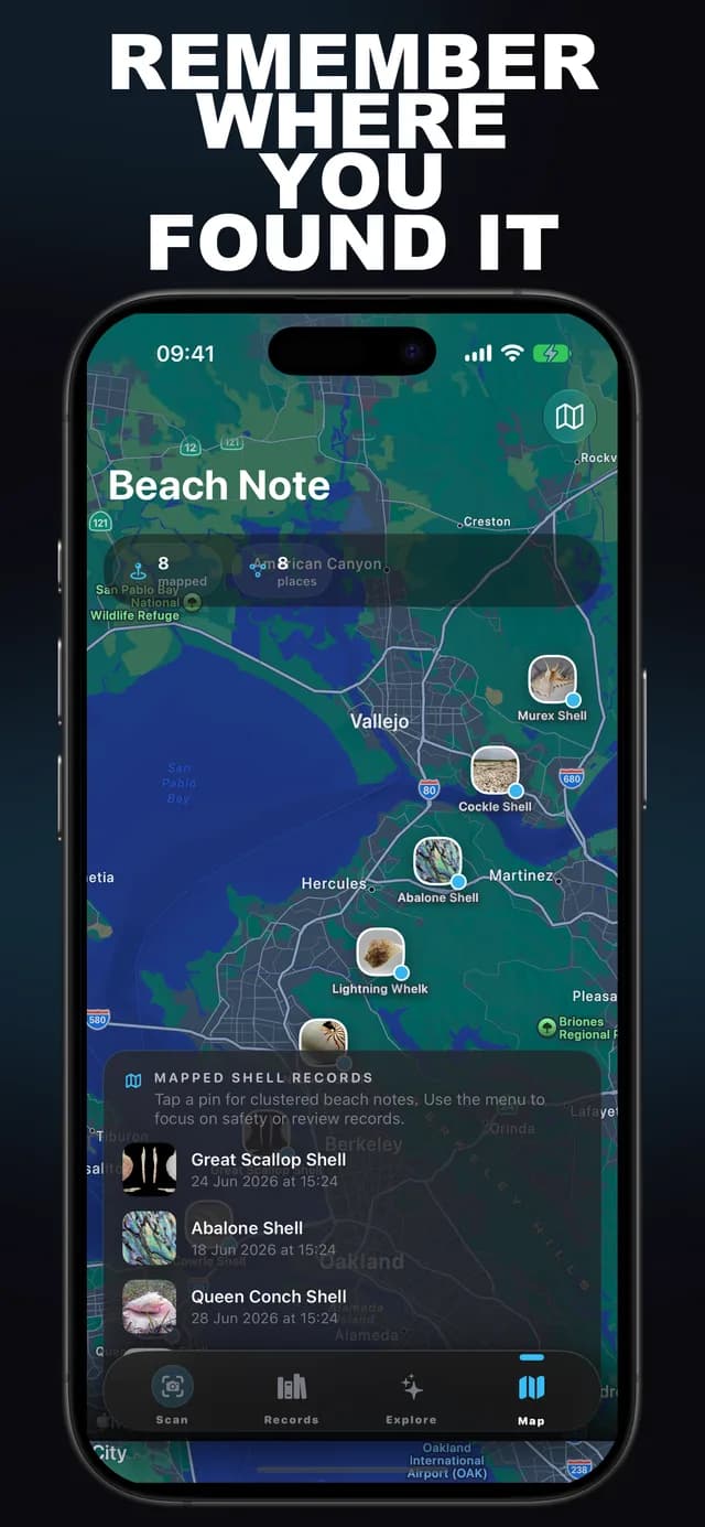 Shellr AI: Seashell ID screenshot 4: seashell identification