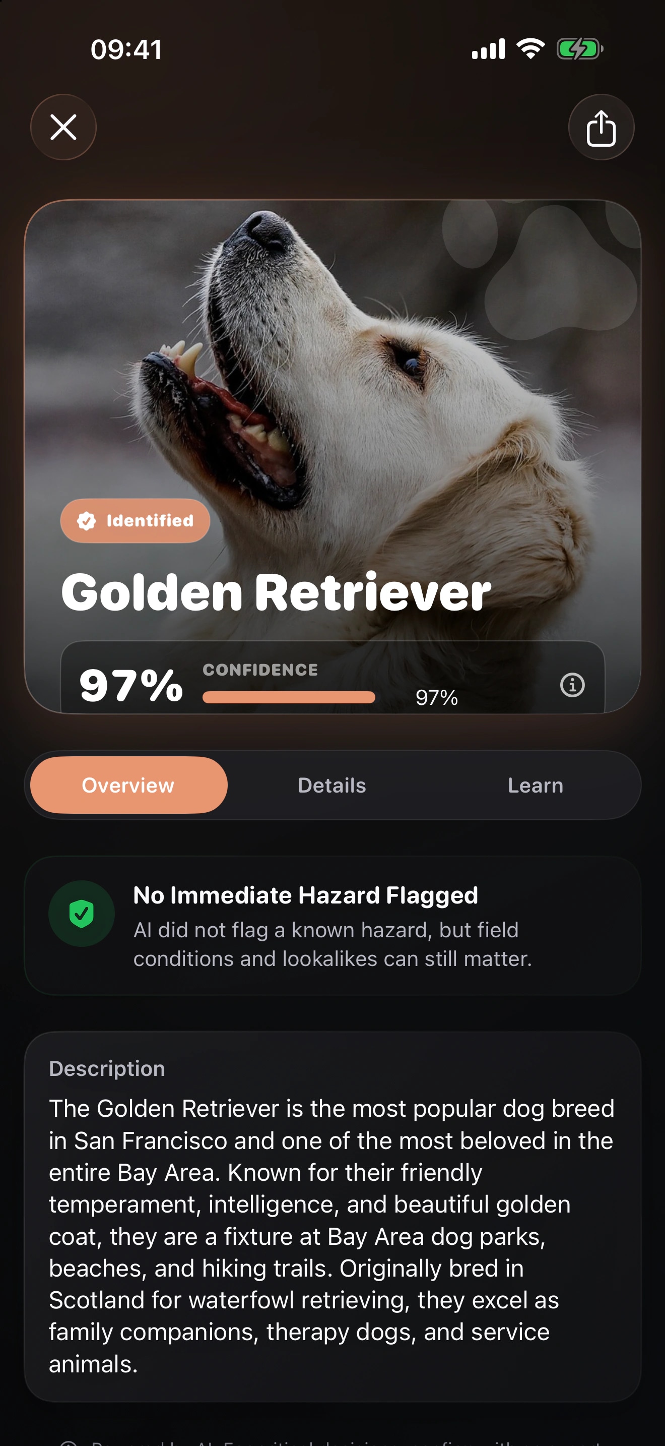 Pawz AI: Breed Identifier: Compare visible traits
