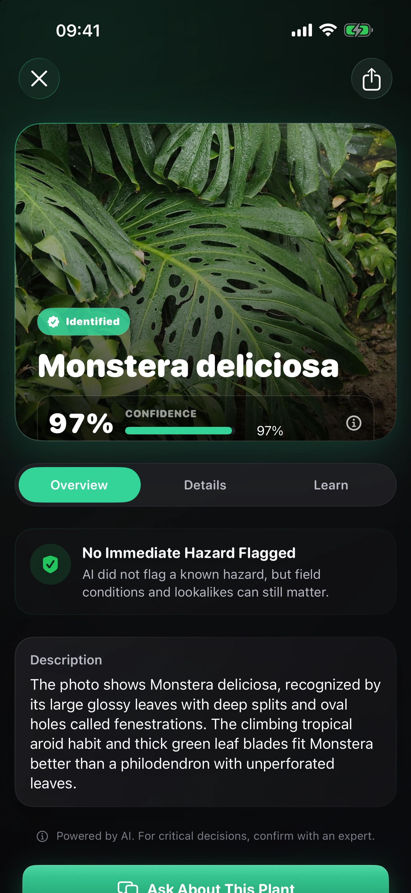 Plantr AI: Plant ID: Compare the likely plant